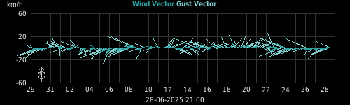 wind vectors