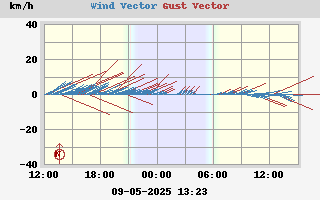 Wind Vector